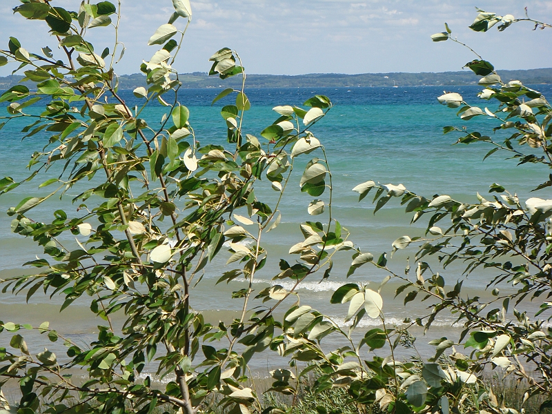 Western Michigan [2010] 567.JPG - Scenes from our trip to Western Michigan. Some places along the way were Ludington, Sleep Bear Dunes, and Traverse City.